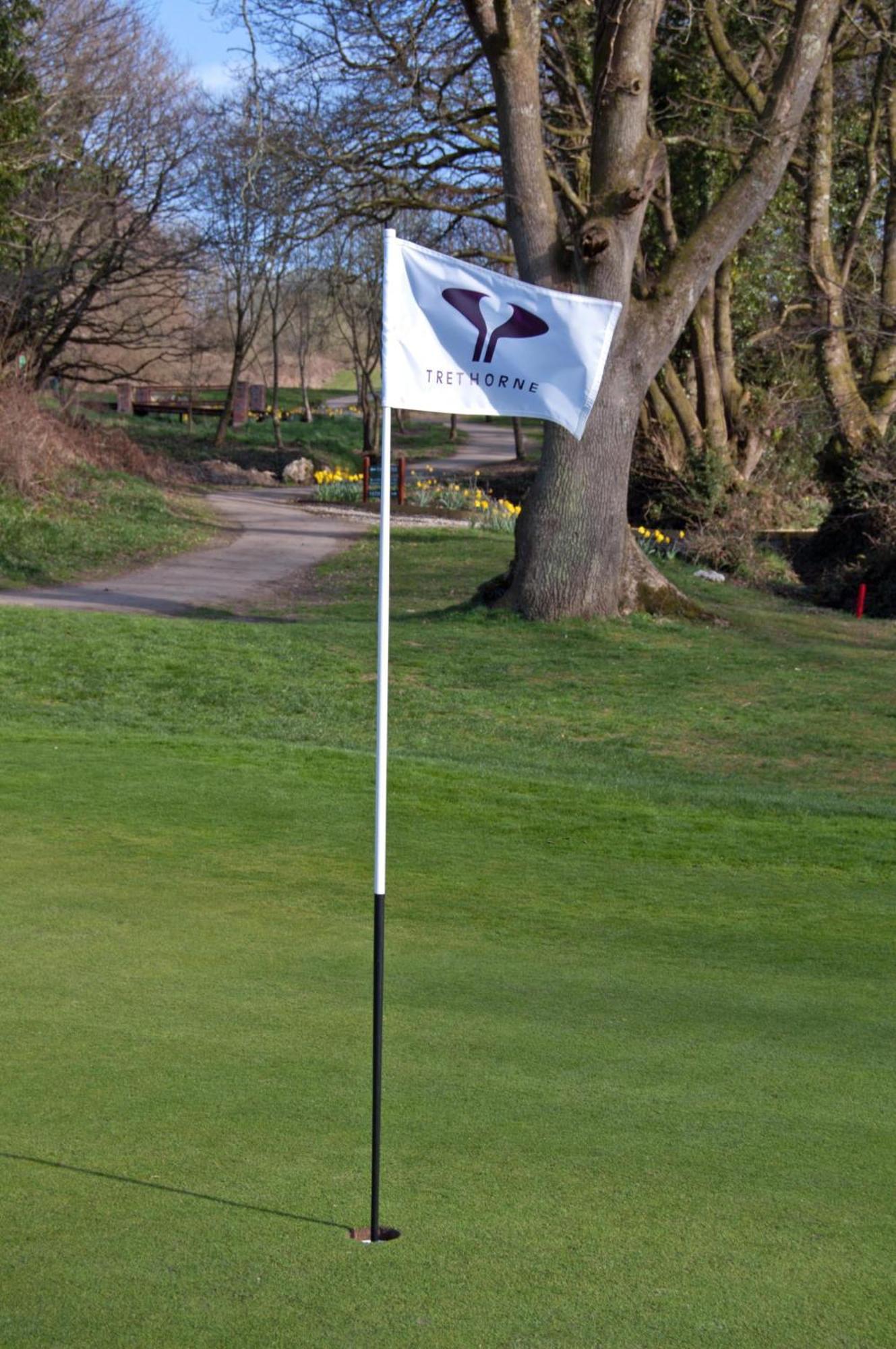 Trethorne Hotel & Golf Club Launceston Buitenkant foto